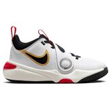 Nike ženske patike Team hustle d 11 gs DV8996-104 cene