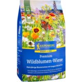 KIEPENKERL Premium - Travnik divjega cvetja - 250 g | Shoptok.si