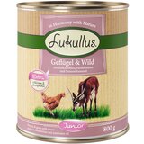 Lukullus Junior perutnina & divjačina (brezžitna) - 6 x 800 g Cene