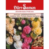 Dürr Samen rožlin | Shoptok.si