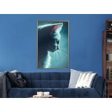  Poster - Adorable Furball 20x30 | shoptok.hr
