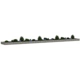  Gabionska povišena gredica od pocinčanog čelika 800x100x20 cm | Eponuda.com