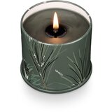 ILLUME x Bloomingville Mirisna svijeća od sojinog voska vrijeme gorenja 50 h Balsam & Cedar – | shoptok.hr