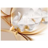  Tapeta - Orchid blossom 200x140 | shoptok.hr