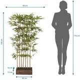 MID.YOU Umetna Rastlina Bambus I | Shoptok.si