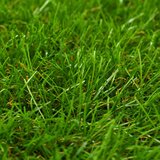  Umjetna trava 1,33 x 10 m / 40 mm zelena | shoptok.hr