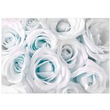  Samoljepljiva foto tapeta - Satin Rose (Turquoise) 441x315 | shoptok.hr