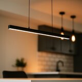  Brilagi - LED luster na sajli AXIS LED/30W/230V 120 cm crna | Eponuda.com