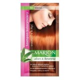 MARION Color Šampon 91, 40ml, Aloe i Keratin, Copper Cene