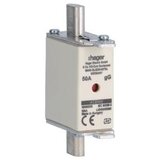 Haeger Hager NH varovalka NH000 gG 690V 50A LNH00050M6, (21223984) | Shoptok.si