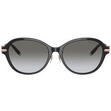 Tiffany Naočare za sunce TF 4188D 80013C | ePonuda.com