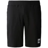 The North Face M Summer Logo Shorts