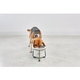 MiaCara Porculanska posuda s postoljem za pse ø 20 cm Pranzo Grolive M – | shoptok.hr