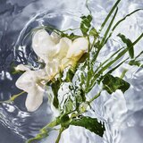 Guerlain Aqua Allegoria Herba Fresca toaletna voda zamjensko punjenje za žene 200 ml | shoptok.hr