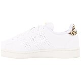 Adidas Nizke superge Advantage Bela | Shoptok.si