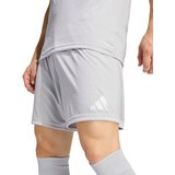 Adidas Športne hlače 'ENT26' siva / bela | Shoptok.si