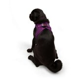 Paws & Whiskers Am za pse Air Mesh Purple 2XS | Eponuda.com