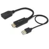HDMI to DisplayPort Adapter