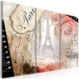  Slika - Paris central ... 120x80 Cijene