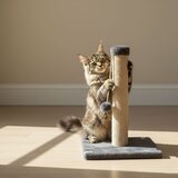 Paws &amp; Whiskers Grebalica za mačke antracit | Eponuda.ba