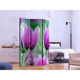 Artgeist Paravan Purple Spring Tulips, 3-Delni, Dvostranski | Shoptok.si