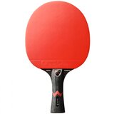 Stiga Pálka Royal 5-Star Carbon | ePonuda.com