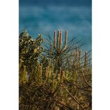 Baobab Collection Tomorrowland dišeča sveča 190 g | Shoptok.si