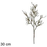 Dekorativna GRANA 30 CM CHAMPAGNE | Eponuda.ba