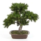 Veštački Bor bonsai h48cm