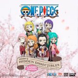 Mighty Jaxx FREENY'S HIDDEN DISSECTIBLES: ONE PIECE (LADIES EDITION) figurice | Shoptok.si