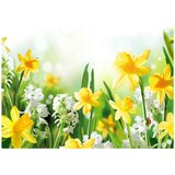  Tapeta - Spring walk 250x175 | shoptok.hr