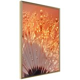  Poster - Orange Breath of the Summer 30x45 Cijene