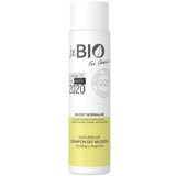 BEBIO COSMETICS NATURAL šampon za volumen i lakše rasčešljavanje kose bebio natural Cene