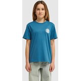 Element Seal Bp Kids T-shirt mallard blue | Shoptok.si