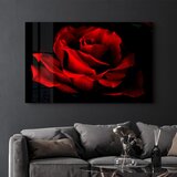 WALLXPERT Dekorativna slika na kaljenom staklu, 35x55cm, Šareno | Eponuda.ba