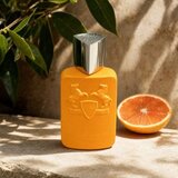 Parfums de Marly Perseus parfemska voda za muškarce 75 ml | shoptok.hr