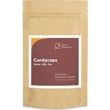 Terra Elements cordyceps v prahu bio Cene