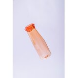 Premier Housewares Narančasta boca za vodu za put 600 ml Mimo – | shoptok.hr
