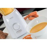 Vivax HOME blender BL-600G Cene