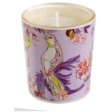 mirisna svijeća Turnowsky Insignia, aroma English Roses