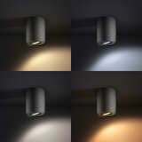 Philips 56330/30/P7 - LED prigušiva spot svetiljka PILLAR Hue 1xGU10/5,5W | Eponuda.com