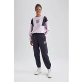 Defacto Standard Fit With Pockets Thick Sweatshirt Fabric Pants Cene