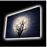 Wallity 4570KTLGDACT - 002 multicolor decorative led lighted canvas painting | Eponuda.com