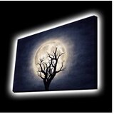 Wallity Dekorativna LED slika 4570KTLGDACT - 002, 45x70cm | Eponuda.ba