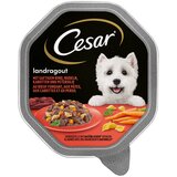 MEGA pakiranje Cesar zdjelice 28 x 150 g - Seoski ragu s govedinom, tjesteninom i mrkvom | shoptok.hr