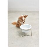 MiaCara Porculanska posuda s postoljem za pse ø 20 cm Pranzo Greige M – | shoptok.hr