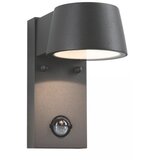 PAULMANN 94453 - LED/6W IP44 Spoljašnje zidno svetlo sa senzorom CAPEA 230V | Eponuda.com