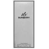 Burberry Mr. parfumirana voda za moške 100 ml | Shoptok.si