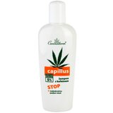 Cannaderm Capillus Caffeine shampoo šampon protiv opadanja kose s uljem kanabisa 150 ml Cijene