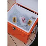 Zuiver Oranžna hladilna torba 15 l Cooler Be Cute – | Shoptok.si